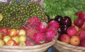 San Juan del Sur Nicaragua fresh fruits and vegetables – Best Places In The World To Retire – International Living